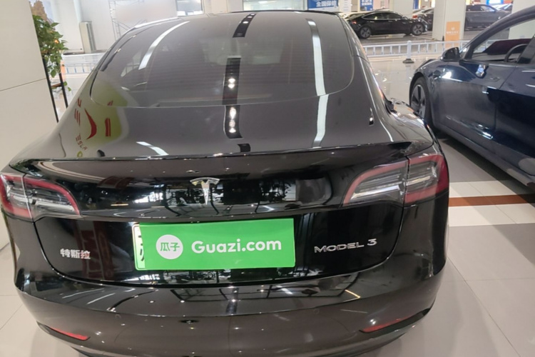Tesla Model 3 2021 #6 Tesla Model 3 2021 car image #6
