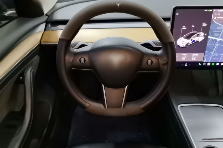 Tesla Model 3 2021 car image #15
