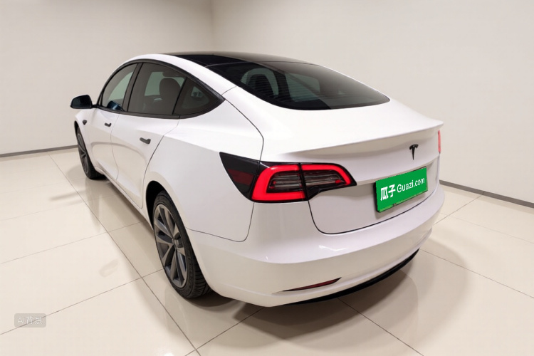 Tesla Model 3 2023 #5 Tesla Model 3 2023 car image #5