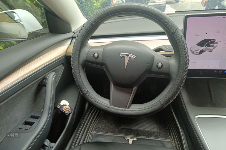Tesla Model 3 2021 #12 Tesla Model 3 2021 car image #12