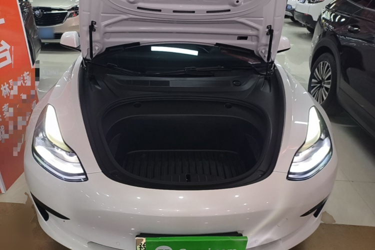 Tesla Model 3 2021 #20 Tesla Model 3 2021 car image #20