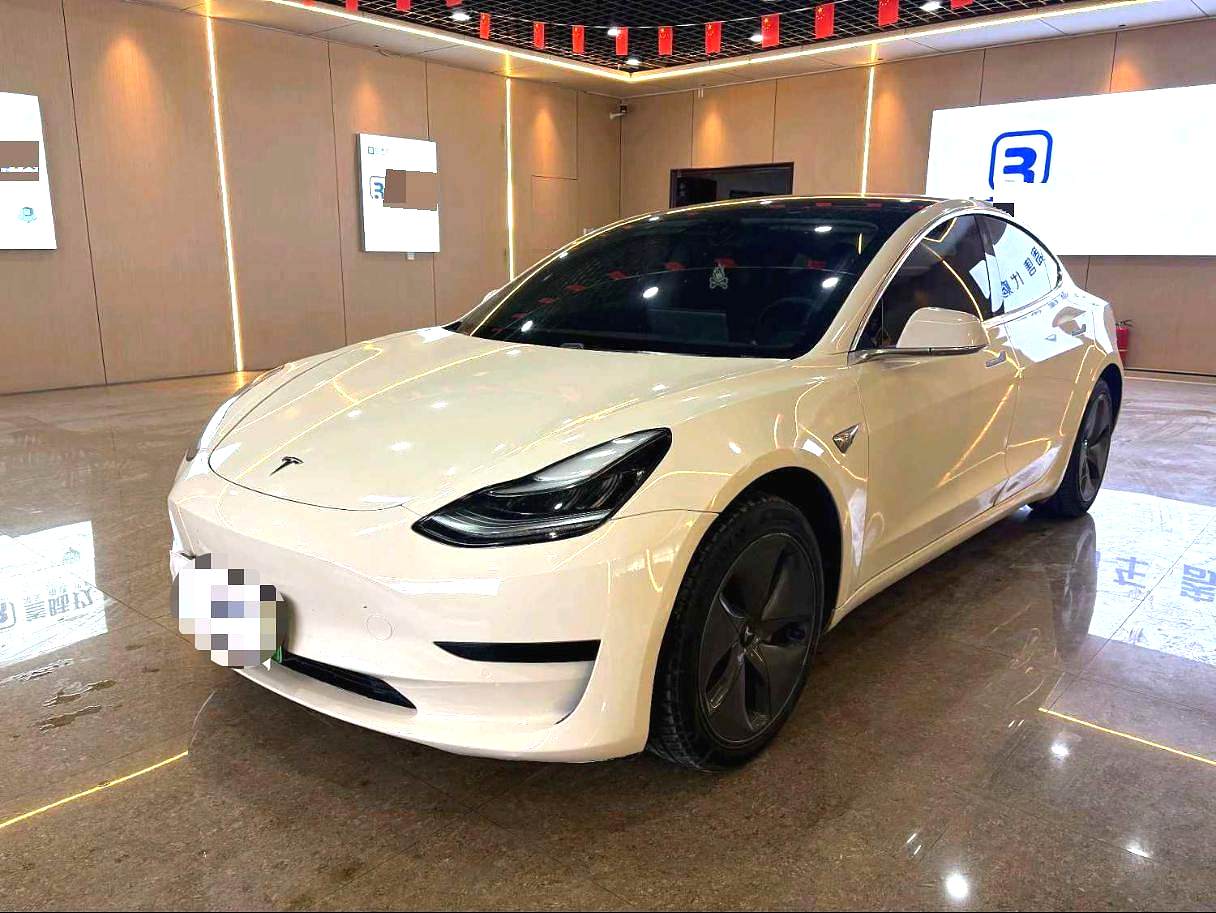 Tesla Model 3 2020 car image 