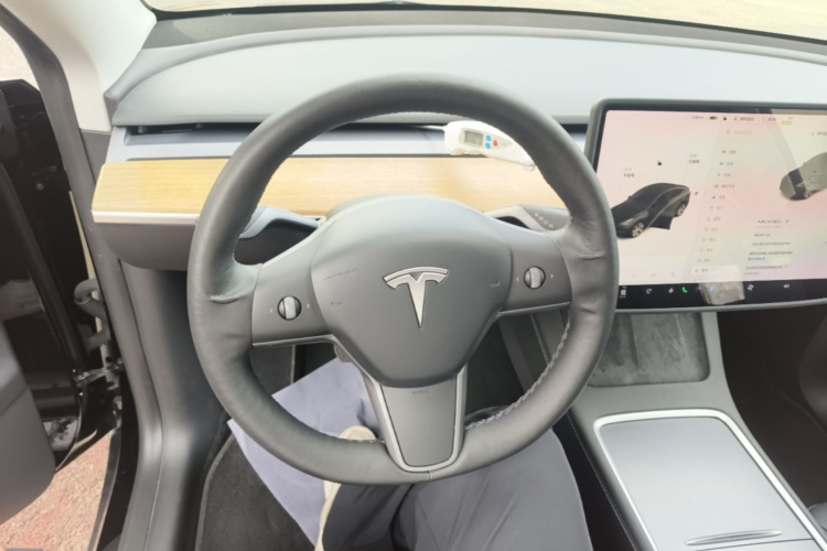 Tesla Model Y 2021 car image #15