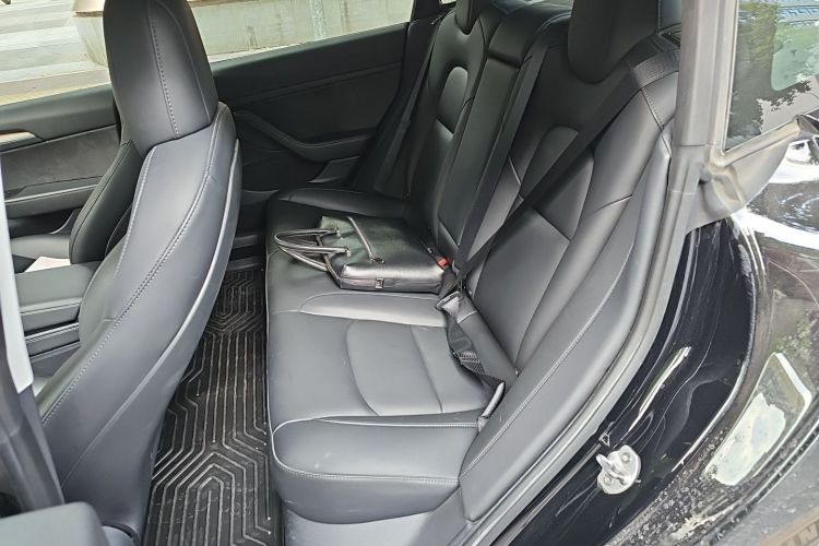 Tesla Model 3 2021 immagine di auto #10