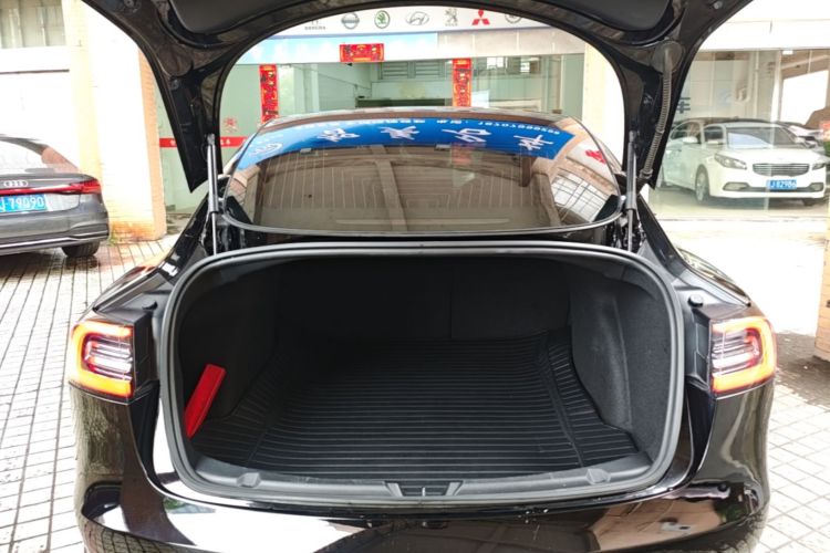 Tesla Model 3 2020 immagine di auto #19
