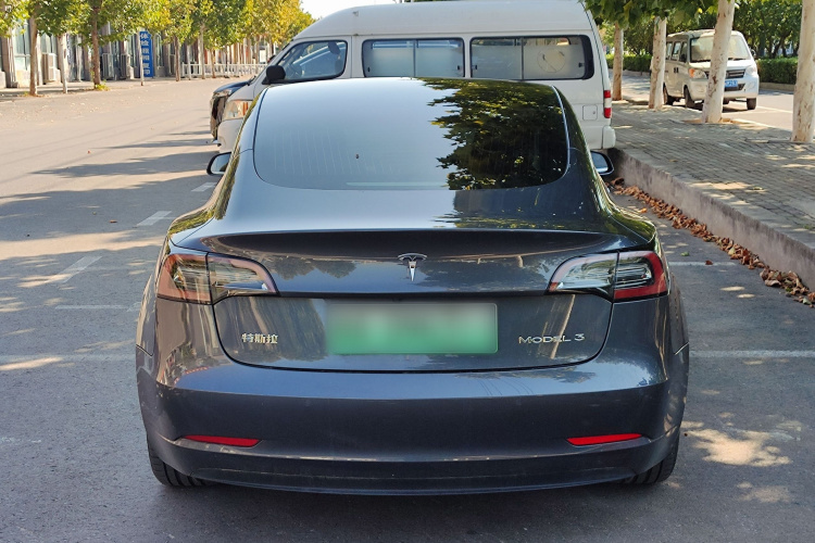 Tesla Model 3 2020 car image #6