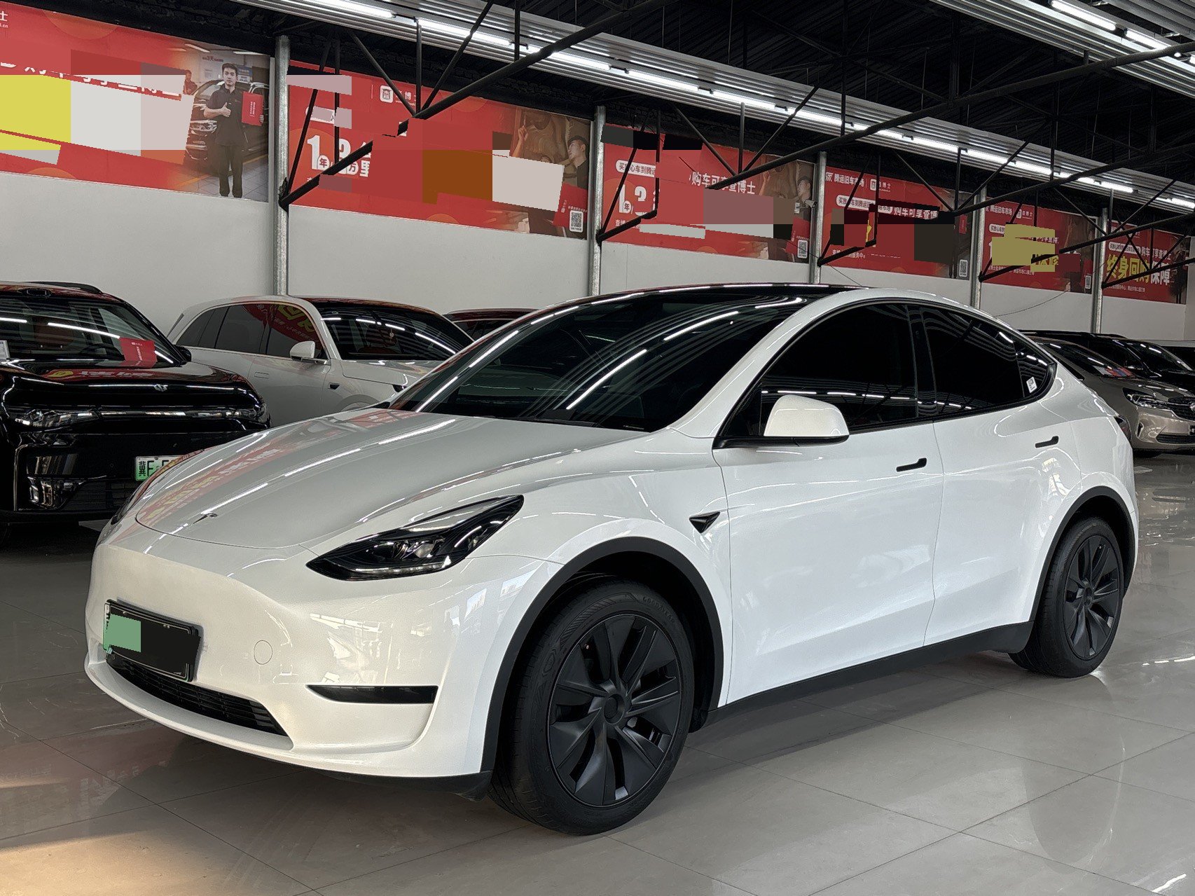Tesla Model Y 2025 car image 