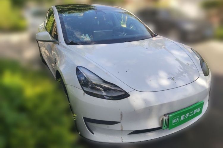 Tesla Model 3 2020 car image #6