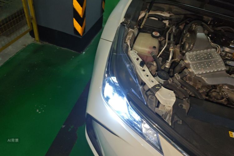 Toyota Corolla 2020 car image #8