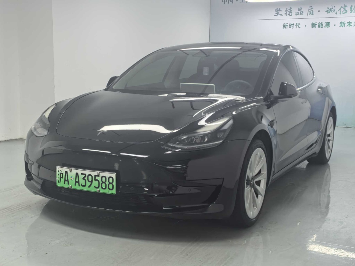 Tesla Model 3 2021 Tesla Model 3 2021 car image