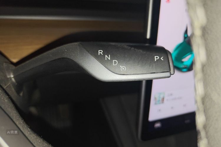 Tesla Model 3 2021 immagine di auto #16