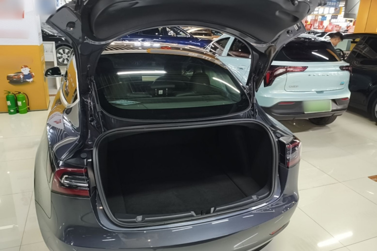 Tesla Model 3 2020 #19 Tesla Model 3 2020 car image #19