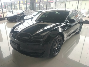 Tesla Model 3 2023 Tesla Model 3 2023 car image