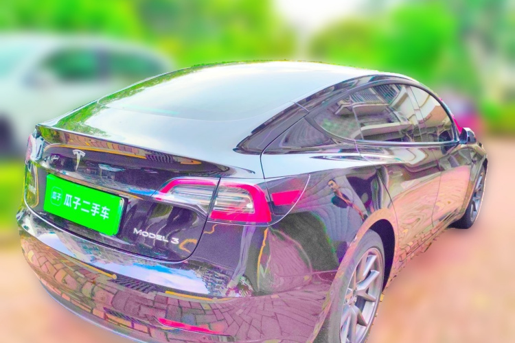 Tesla Model 3 2021 car image #5