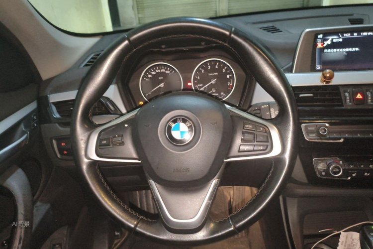 BMW X1 2017 car image #12