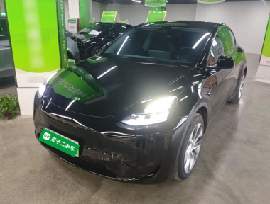 Tesla Model Y 2023 Tesla Model Y 2023 car image