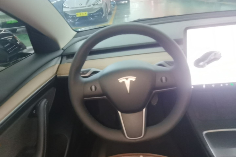 Tesla Model 3 2021 #15 Tesla Model 3 2021 car image #15