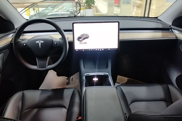Tesla Model Y 2021 car image #10