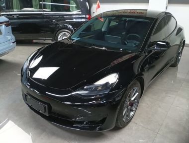 Tesla Model 3 2022 car image 