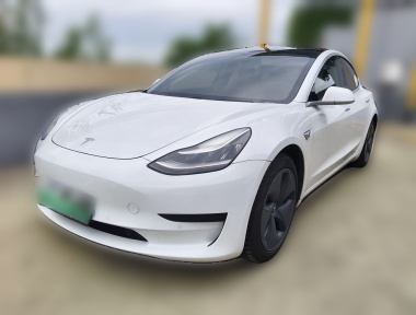 Tesla Model 3 2020 car image 