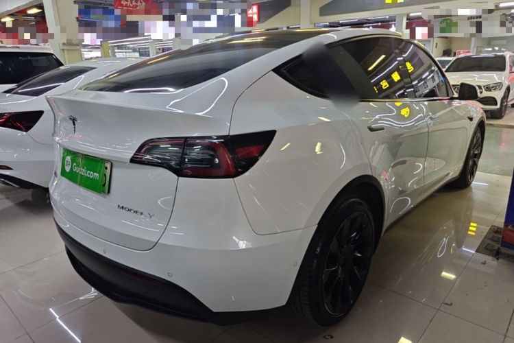 Tesla Model Y 2021 #7 Tesla Model Y 2021 car image #7