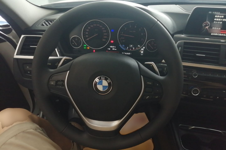 BMW 3 Series 2017 car image #11