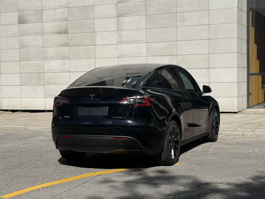 Tesla Model Y 2021 car image #11
