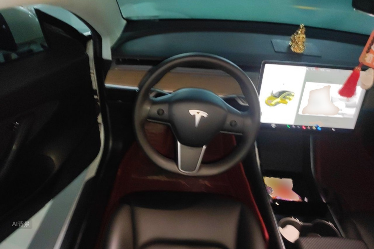 Tesla Model 3 2020 car image #12