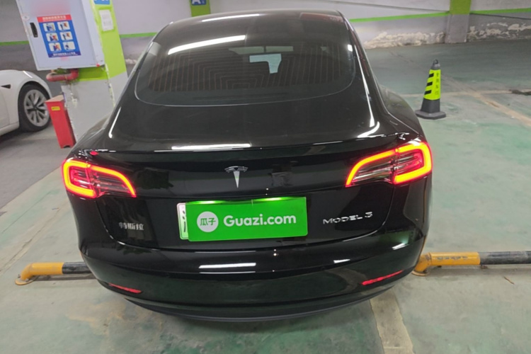 Tesla Model 3 2020 car image #6