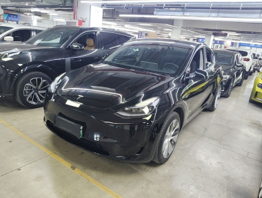 Tesla Model Y 2022 Tesla Model Y 2022 car image