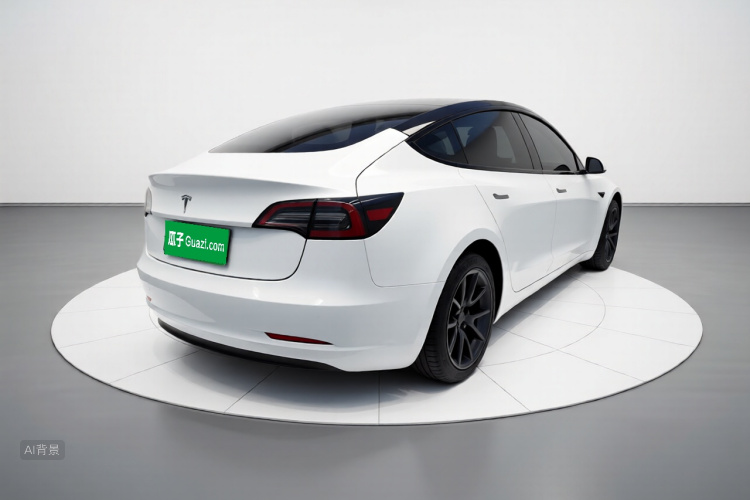 Tesla Model 3 2022 car image #7