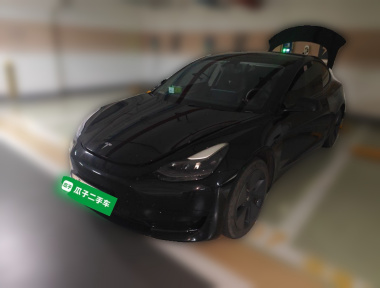 Tesla Model 3 2021 Tesla Model 3 2021 car image