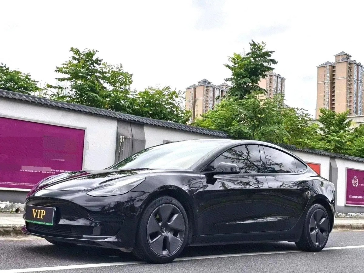 Tesla Model 3 2022 Tesla Model 3 2022 car image