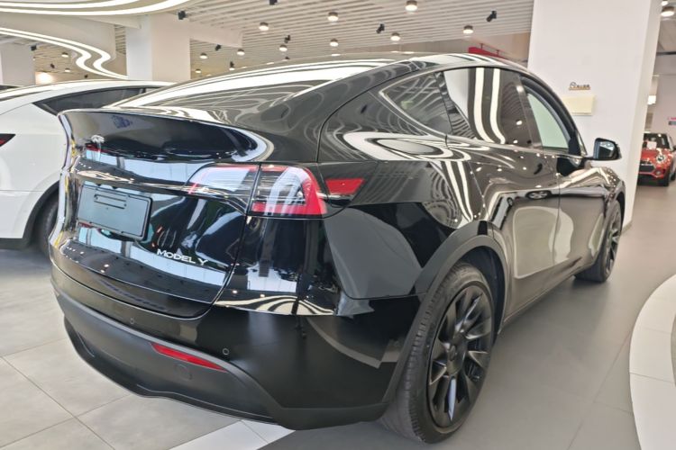Tesla Model Y 2021 car image #7