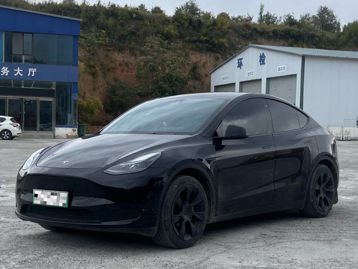 Tesla Model Y 2023 Tesla Model Y 2023 car image