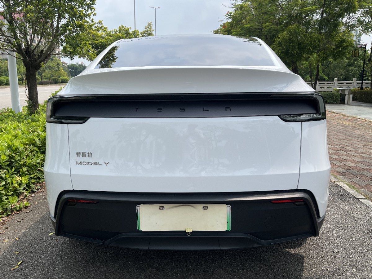 Tesla Model Y 2025 #8 Tesla Model Y 2025 car image #8