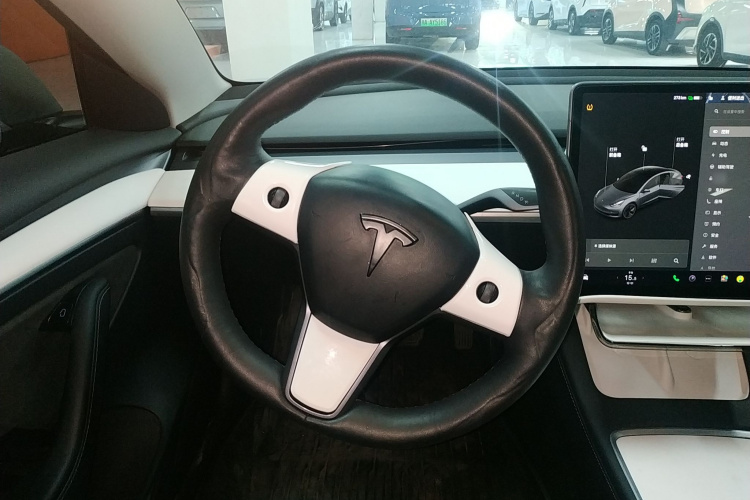 Tesla Model 3 2021 #11 Tesla Model 3 2021 immagine di auto #11