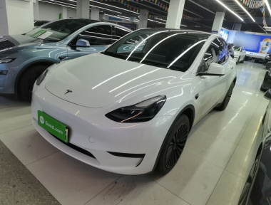 Tesla Model Y 2024 Tesla Model Y 2024 car image