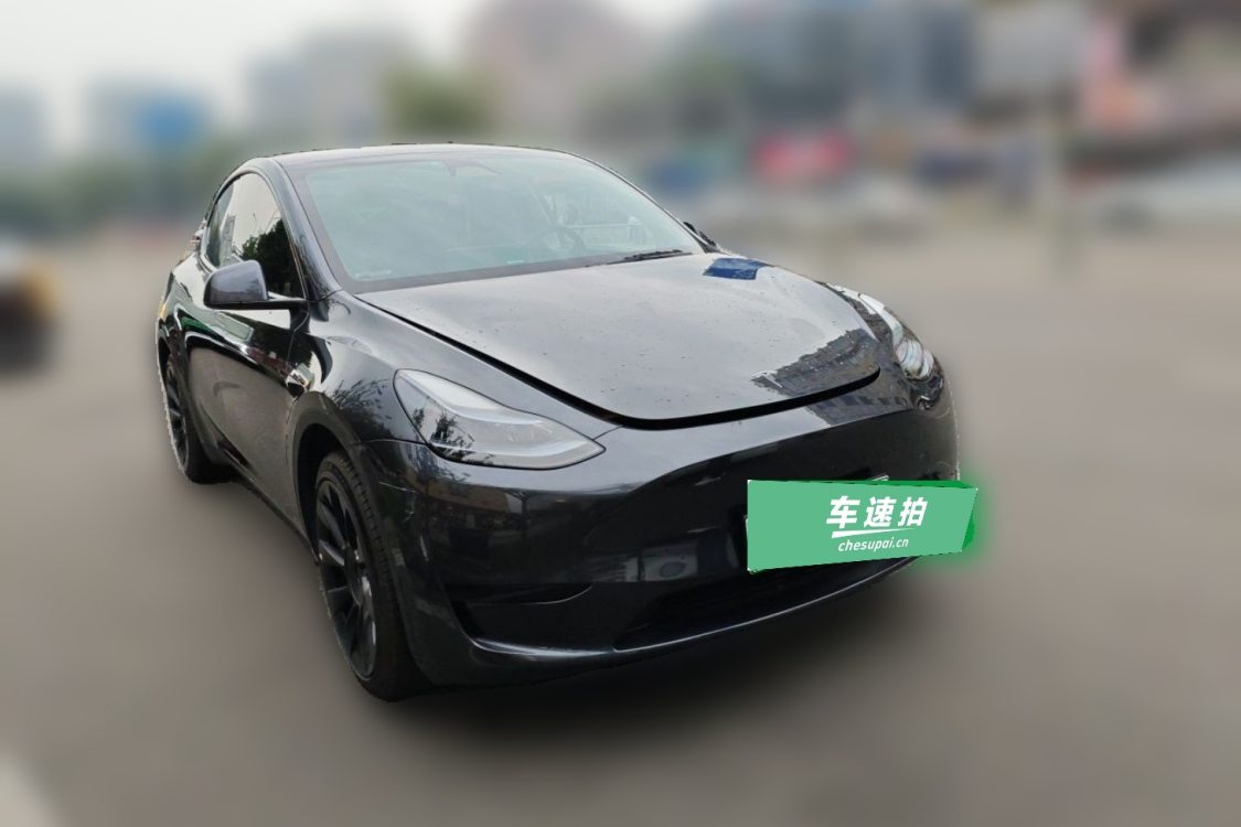 Tesla Model Y 2024 car image #2