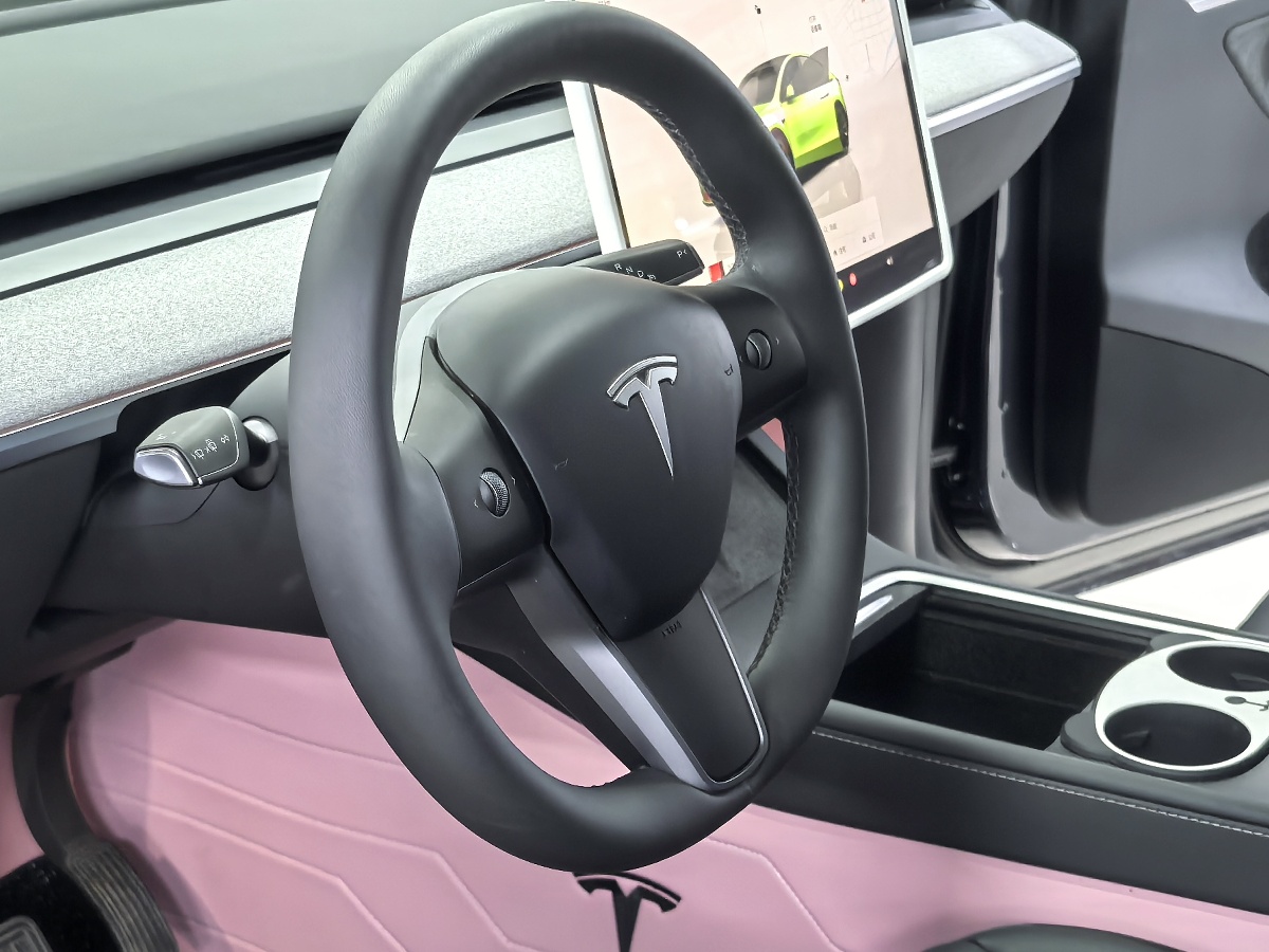 Tesla Model Y 2024 car image #15