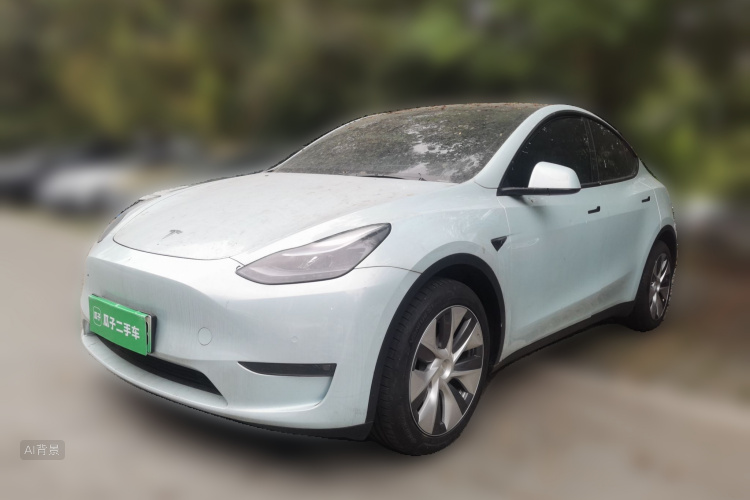 Tesla Model Y 2022 car image #2