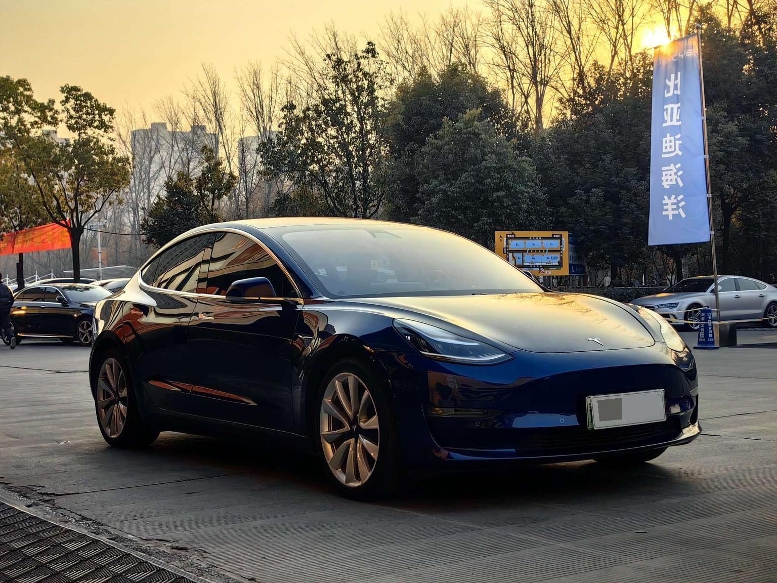 Tesla Model 3 2020 imagen de coche #3