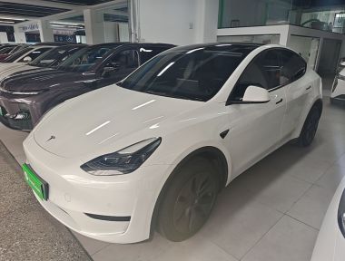 Tesla Model Y 2024 car image 