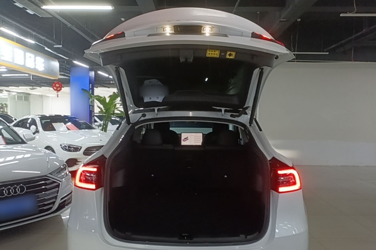 Tesla Model Y 2021 #19 Tesla Model Y 2021 car image #19