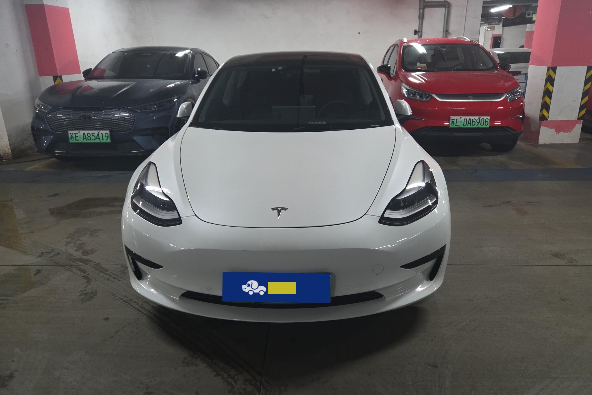 Tesla Model 3 2021 immagine di auto #2