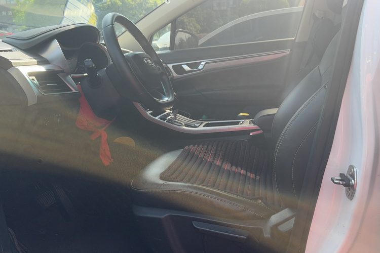 GEELY Emgrand GS 2020 изображение автомобиля #9