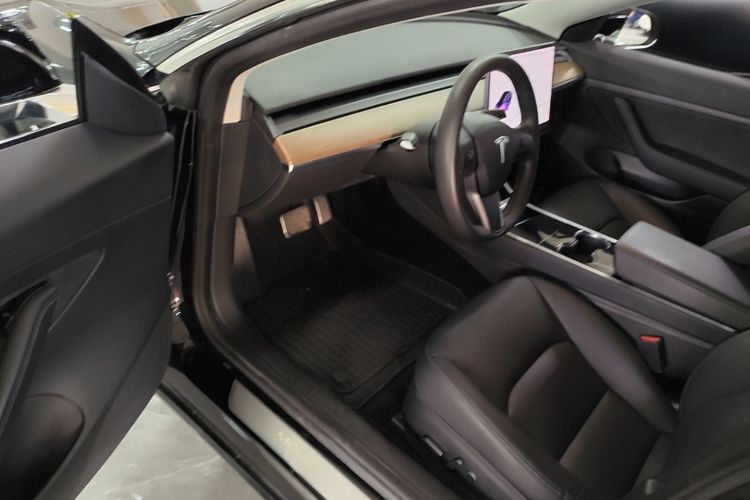 Tesla Model 3 2020 car image #16