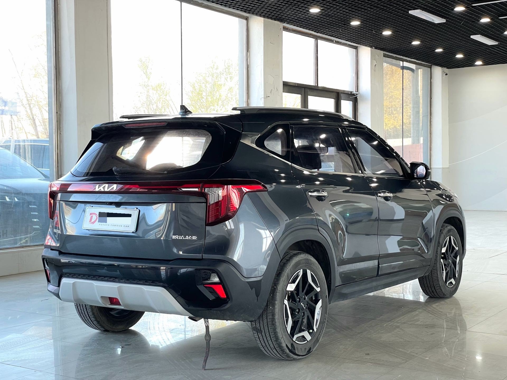 Kia Seltos 2023 car image #6
