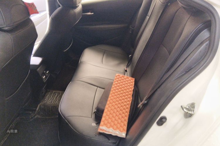 Toyota Corolla 2019 car image #19