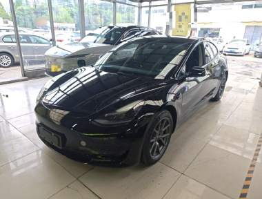 Tesla Model 3 2021 Tesla Model 3 2021 car image